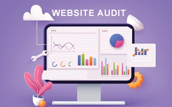 Website Audits